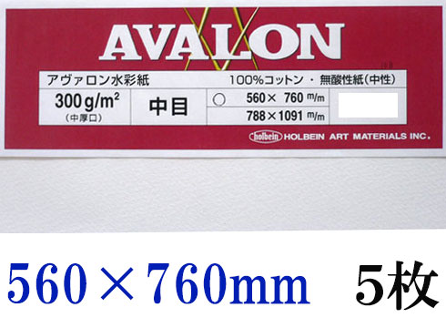 アヴァロン水彩紙  中目　３００ｇ　５６０×７６０ｍｍ　５枚組