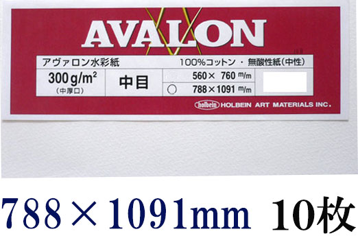 アヴァロン水彩紙  中目　３００ｇ　５６０×７６０ｍｍ　１０枚組