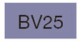 BV25 [コピックチャオ]