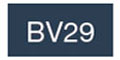BV29 [コピックチャオ]
