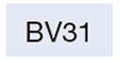 BV31 [コピックチャオ]