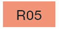 R05 [コピックチャオ]