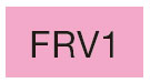  FRV1 [コピックスケッチ]