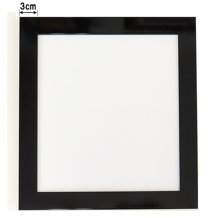 色紙額 DN-56　（８×９寸）