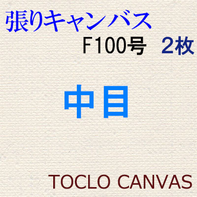純麻手張りキャンバス 中目 F100号 2枚組 額縁画材ドットコム