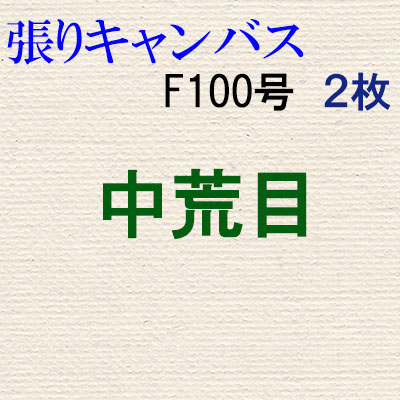 純麻張りキャンバス 中荒目 Ｆ１００号 ２枚組