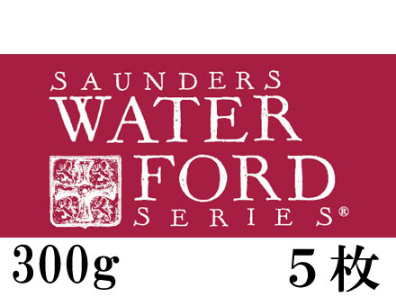 ウォーターフォードナチュラル水彩紙＜中厚口＞300g （560×760mm） 5枚組[細目・中目・荒目]