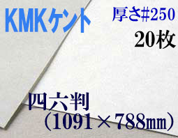 ミューズ　KMKケント＜＃２５０＞ 四六判 ２０枚