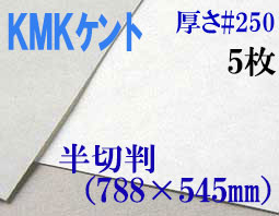 ミューズ　KMKケント＜＃２５０＞ 半切判 ５枚