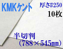 ミューズ　KMKケント＜＃２５０＞ 半切判 １０枚
