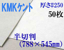ミューズ　KMKケント＜＃２５０＞ 半切判 ５０枚