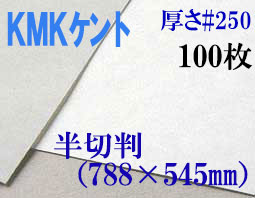 ミューズ　KMKケント＜＃２５０＞ 半切判 １００枚