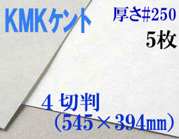 ミューズ　KMKケント＜＃２５０＞ ４切判 ５枚