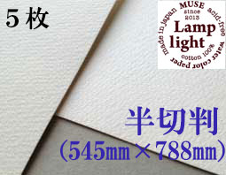 ランプライト水彩紙　半切判（545×788mm） 厚さ300g　５枚