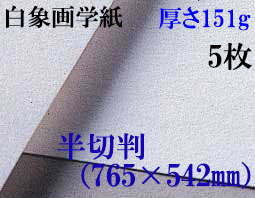 ミューズ　白象画学紙＜厚口125K＞　半切判　５枚