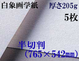ミューズ　白象画学紙＜特厚口170K＞　半切判　５枚