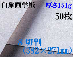 ミューズ　白象画学紙＜厚口125K＞　８切判　５０枚