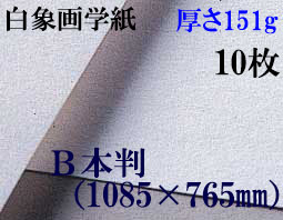 ミューズ　白象画学紙＜厚口125K＞　Ｂ本判　１０枚
