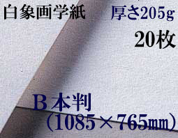 ミューズ　白象画学紙＜特厚口170K＞　Ｂ本判　２０枚