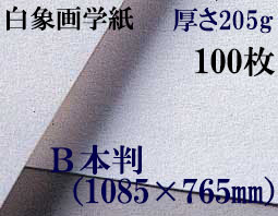 ミューズ　白象画学紙＜厚口125K＞　Ｂ本判　１００枚