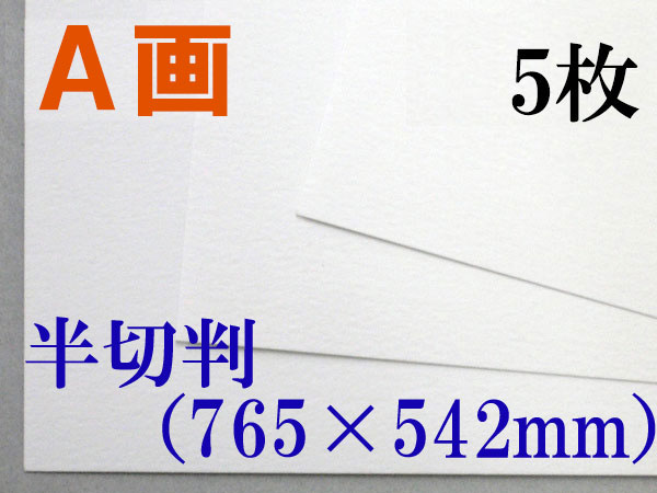 ミューズ　Ａ画用紙＜厚口１６２.７ｇ＞　半切判 ５枚