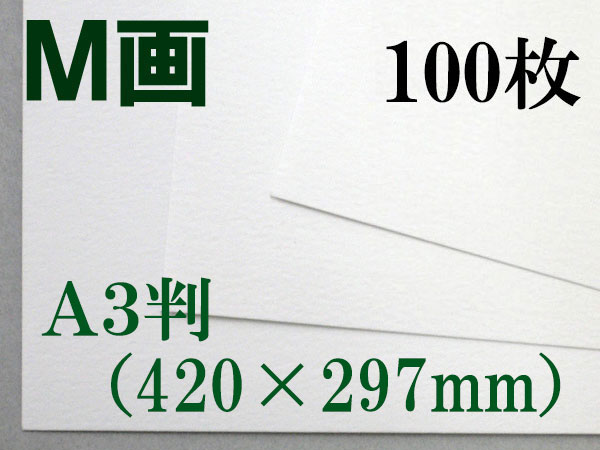 ミューズ Ｍ画用紙＜特厚口210.8g＞ Ａ３判 100枚