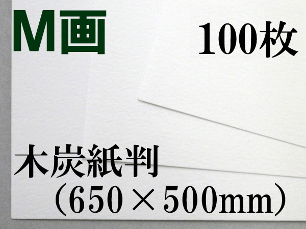 ミューズ Ｍ画用紙＜特厚口210.8g＞ 木炭紙判 100枚