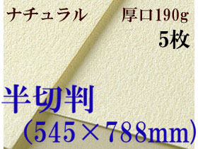 ミューズ　ナチュラルワトソン＜厚口190g＞半切判（545×788mm） ５枚