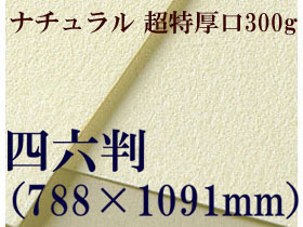 【送料無料】ミューズ　ナチュラルワトソン水彩紙＜超特厚口300g＞四六判（1,091mm×788mm）（枚数選択）