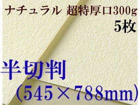 ミューズ　ナチュラルワトソン＜超特厚口300g＞半切判（545×788mm） ５枚