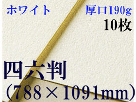 ミューズ　ホワイトワトソン＜厚口190g＞四六判（1,091mm×788mm） １０枚