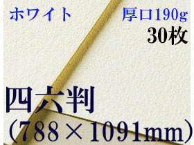 ミューズ　ホワイトワトソン＜厚口190g＞四六判（1,091mm×788mm） ３０枚
