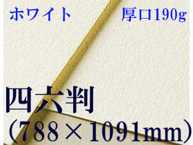 【送料無料】ミューズ　ホワイトワトソン水彩紙＜厚口190g＞四六判（1,091mm×788mm）（枚数選択）