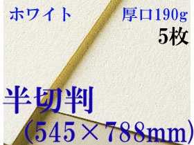 ミューズ　ホワイトワトソン＜厚口190g＞半切判（545×788mm） ５枚