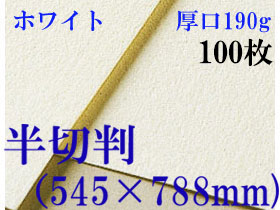 ミューズ　ホワイトワトソン＜厚口190g＞半切判（545×788mm） １００枚