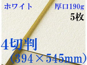ミューズ　ホワイトワトソン＜厚口190g＞４切判（394×545mm） ５枚