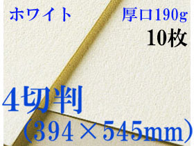 ミューズ　ホワイトワトソン＜厚口190g＞４切判（394×545mm） １０枚