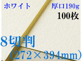 ミューズ　ホワイトワトソン＜厚口190g＞８切判（272×394mm） １００枚