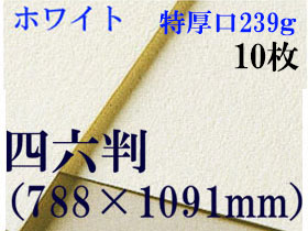 ミューズ　ホワイトワトソン＜特厚口239g＞四六判（1,091mm×788mm） １０枚