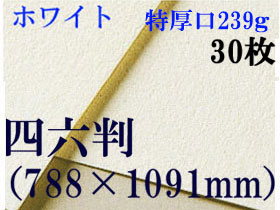 【送料無料】ミューズ　ホワイトワトソン水彩紙＜特厚口239g＞四六判（1,091mm×788mm） ３０枚