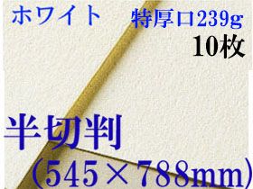 ミューズ　ホワイトワトソン水彩紙＜特厚口239g＞半切判（545×788mm） １０枚 中目