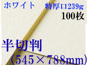 ミューズ　ホワイトワトソン＜特厚口239g＞半切判（545×788mm） １００枚