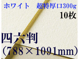 ミューズ　ホワイトワトソン＜超特厚口300g＞四六判（1,091mm×788mm） １０枚