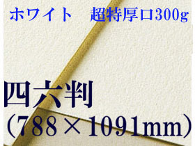 【送料無料】ミューズ　ホワイトワトソン水彩紙＜超特厚口300g＞四六判（1,091mm×788mm）（枚数選択）