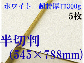 ミューズ　ホワイトワトソン＜超特厚口300g＞半切判（545×788mm） ５枚