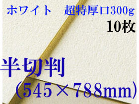 ミューズ　ホワイトワトソン＜超特厚口300g＞半切判（545×788mm） １０枚