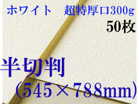 ミューズ　ホワイトワトソン＜超特厚口300g＞半切判（545×788mm） ５０枚