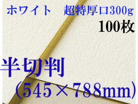 ミューズ　ホワイトワトソン＜超特厚口300g＞半切判（545×788mm） １００枚