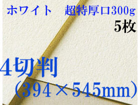 ミューズ　ホワイトワトソン＜超特厚口300g＞４切判（394×545mm） ５枚