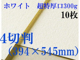 ミューズ　ホワイトワトソン＜超特厚口300g＞４切判（394×545mm） １０枚